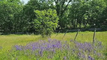 De Combarel Vakantiehuis *